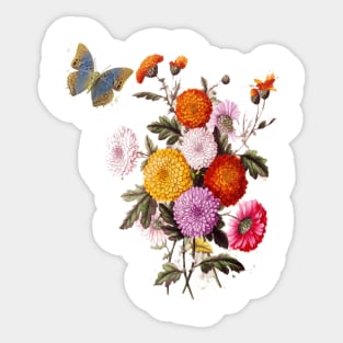 Chrysanthemum and Butterfly Sticker